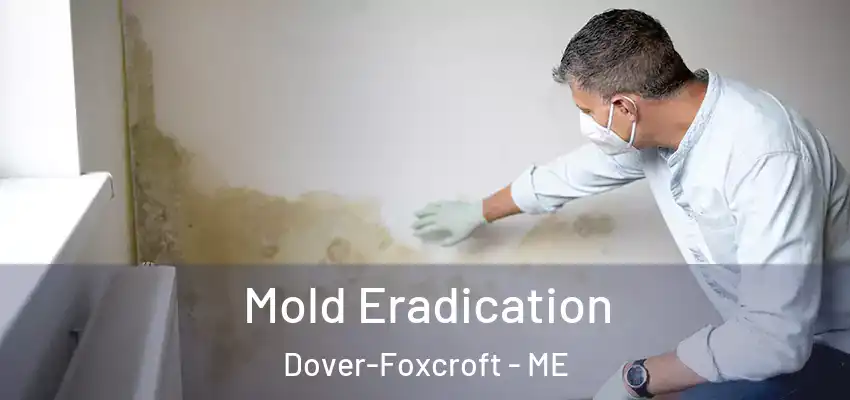  Mold Eradication Dover-Foxcroft - ME