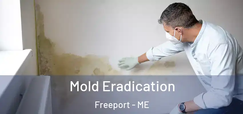  Mold Eradication Freeport - ME