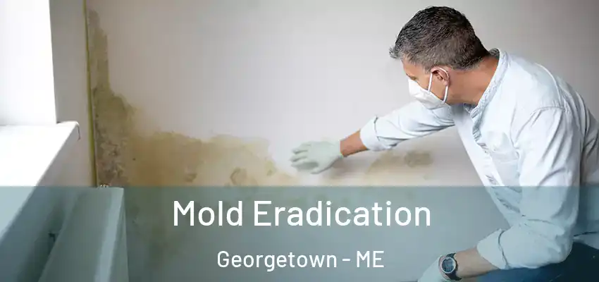  Mold Eradication Georgetown - ME