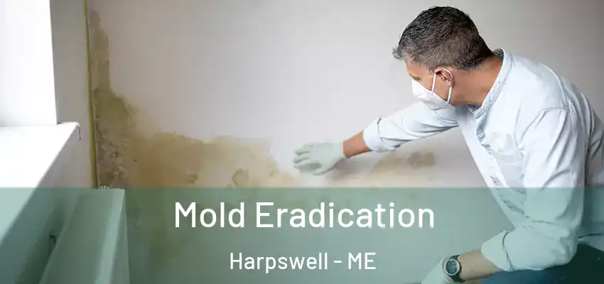  Mold Eradication Harpswell - ME