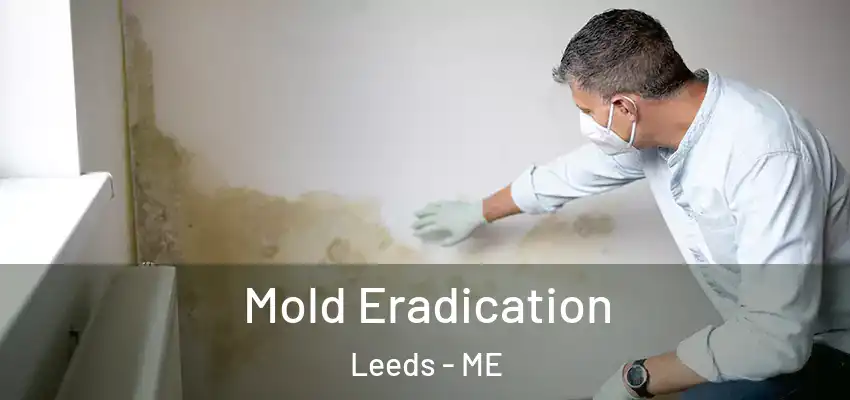  Mold Eradication Leeds - ME
