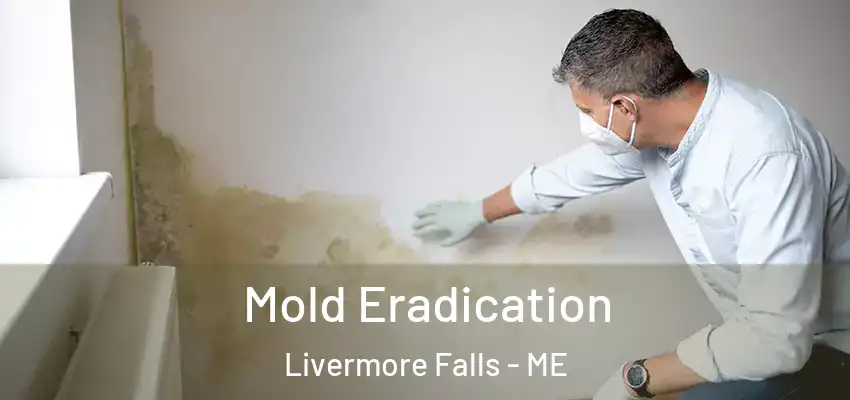 Mold Eradication Livermore Falls - ME