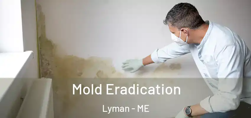  Mold Eradication Lyman - ME