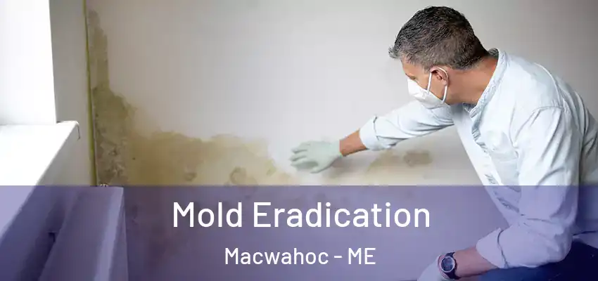  Mold Eradication Macwahoc - ME