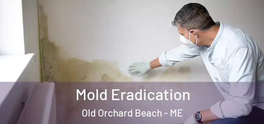  Mold Eradication Old Orchard Beach - ME