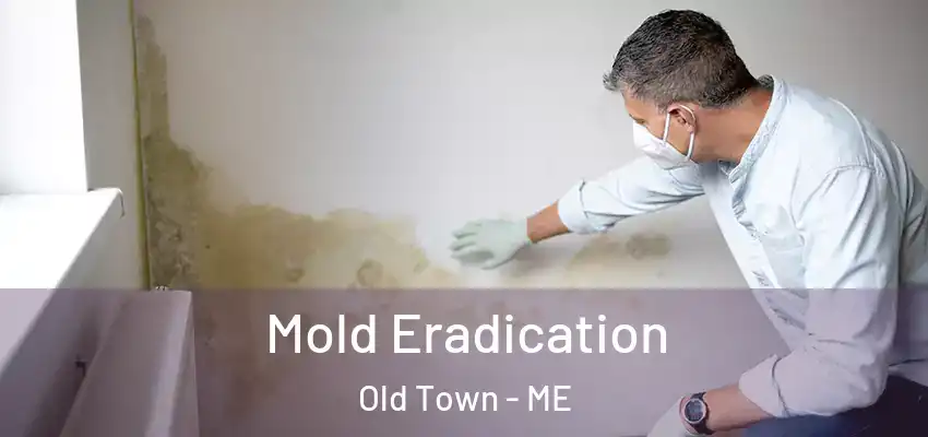  Mold Eradication Old Town - ME