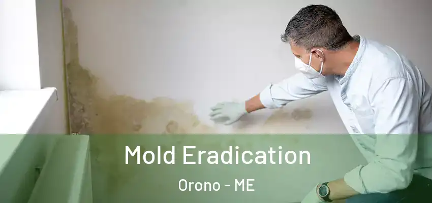  Mold Eradication Orono - ME