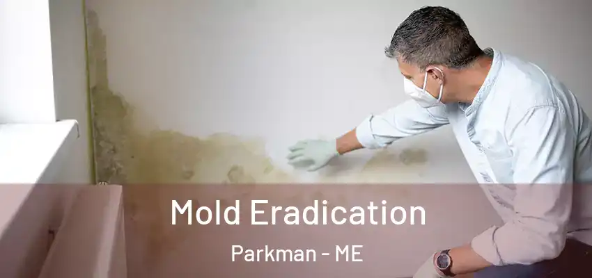  Mold Eradication Parkman - ME