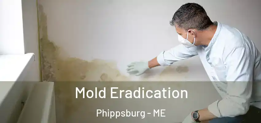  Mold Eradication Phippsburg - ME