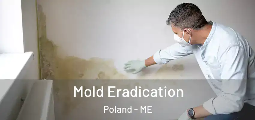  Mold Eradication Poland - ME