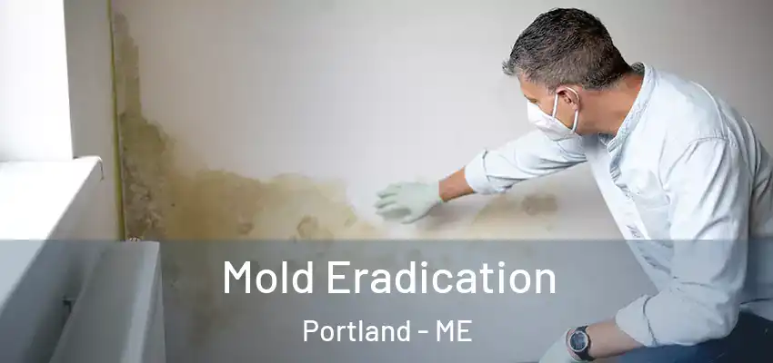  Mold Eradication Portland - ME