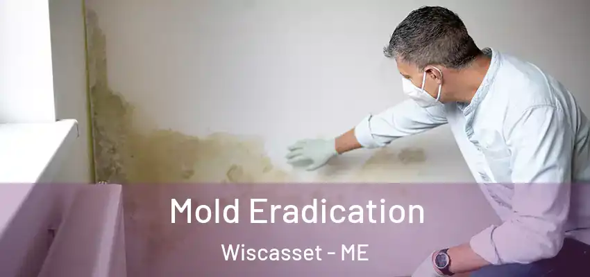  Mold Eradication Wiscasset - ME