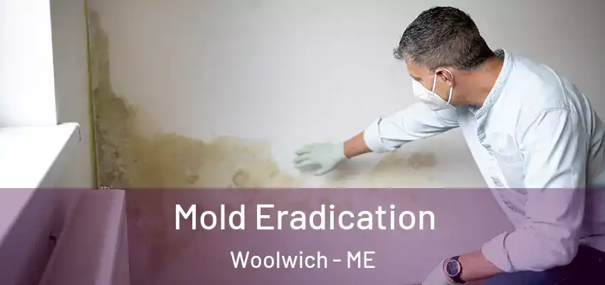  Mold Eradication Woolwich - ME