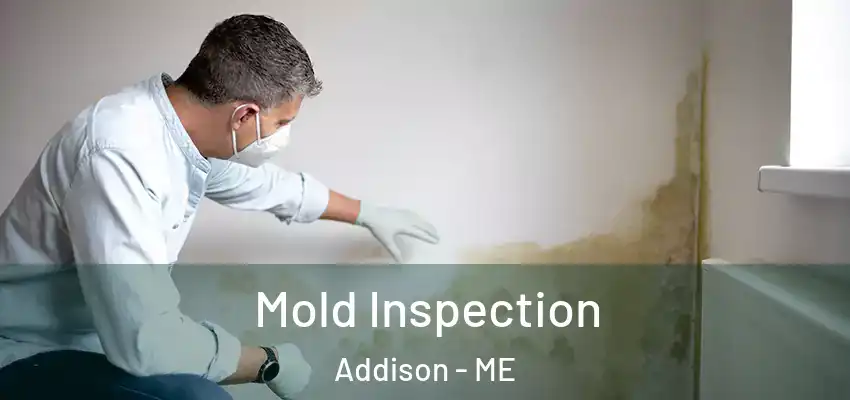  Mold Inspection Addison - ME