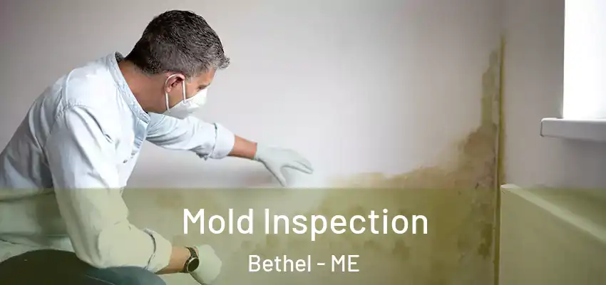  Mold Inspection Bethel - ME