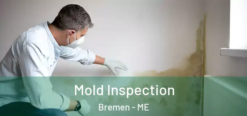  Mold Inspection Bremen - ME