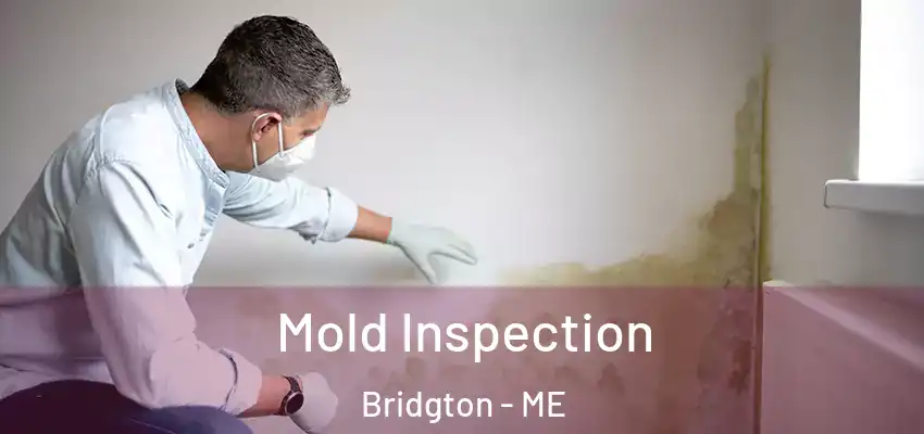  Mold Inspection Bridgton - ME