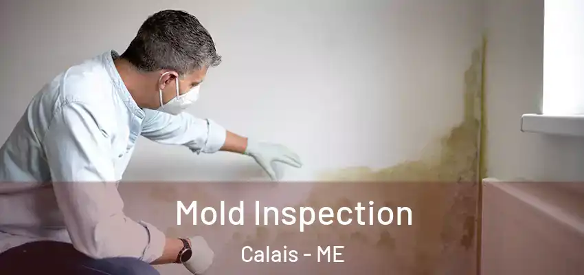  Mold Inspection Calais - ME