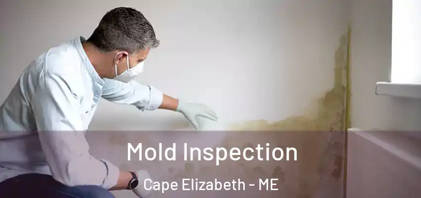  Mold Inspection Cape Elizabeth - ME