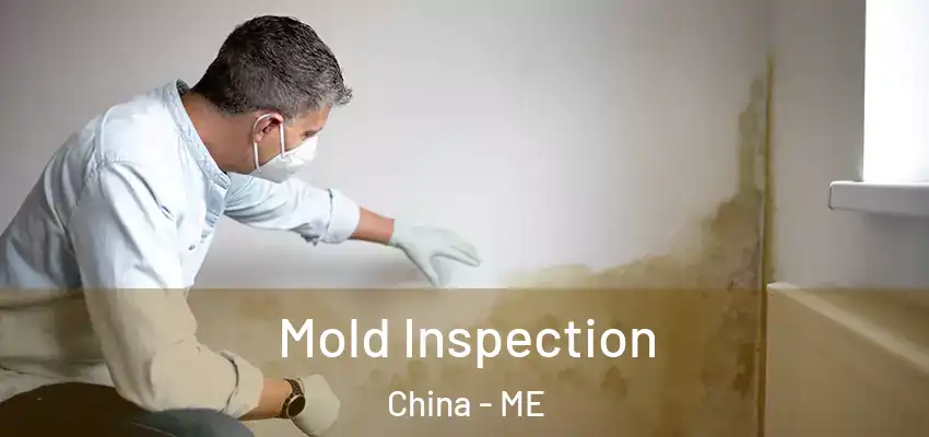  Mold Inspection China - ME