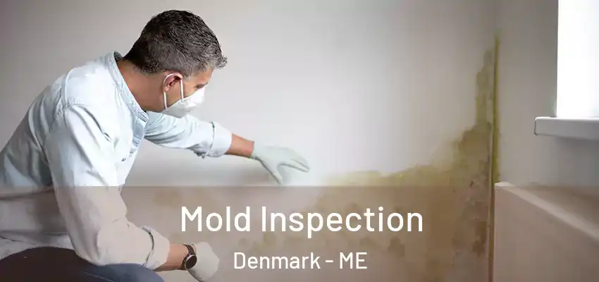  Mold Inspection Denmark - ME