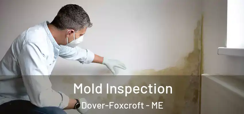  Mold Inspection Dover-Foxcroft - ME
