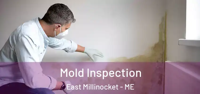  Mold Inspection East Millinocket - ME