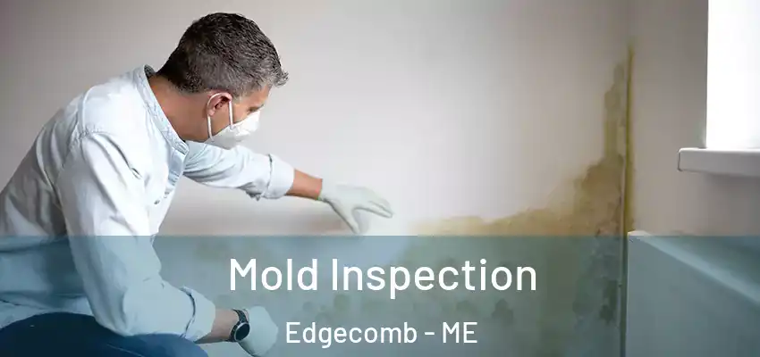  Mold Inspection Edgecomb - ME