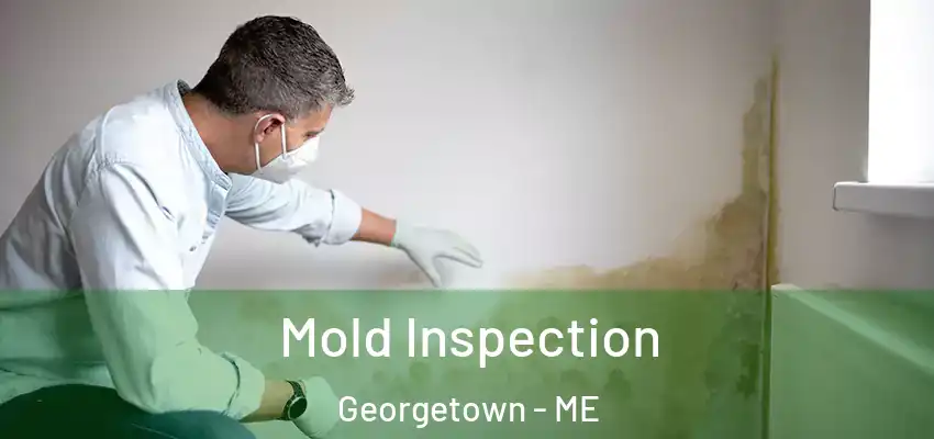  Mold Inspection Georgetown - ME