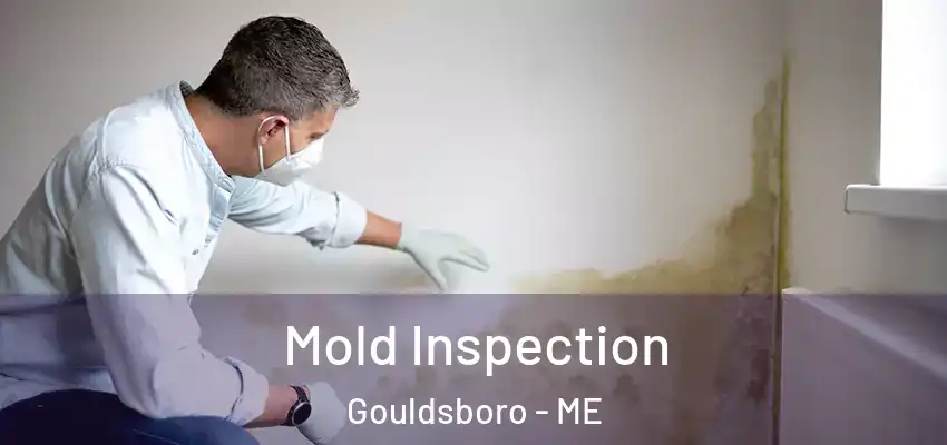  Mold Inspection Gouldsboro - ME