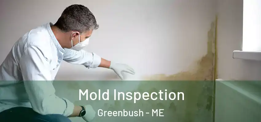  Mold Inspection Greenbush - ME