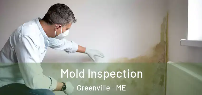  Mold Inspection Greenville - ME