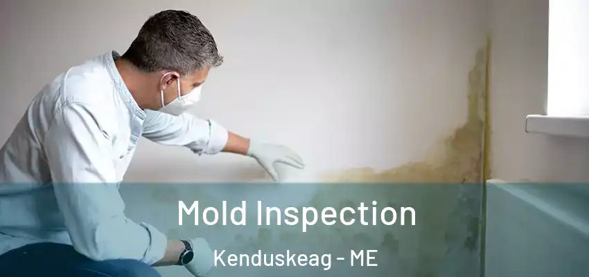  Mold Inspection Kenduskeag - ME