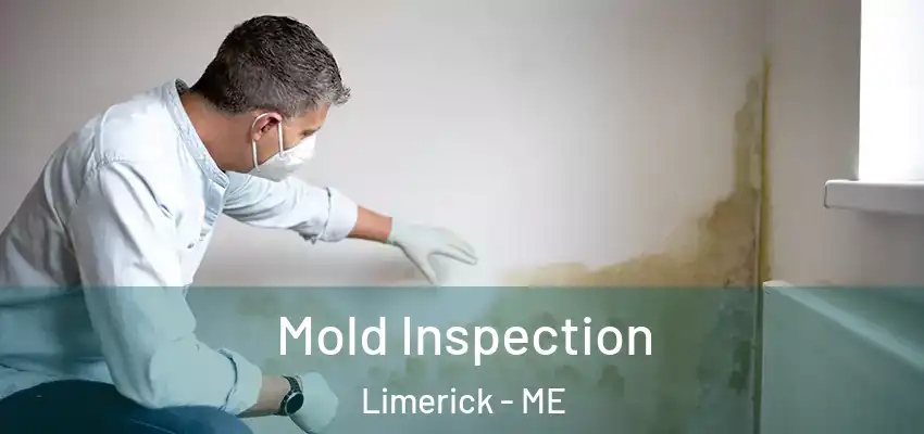  Mold Inspection Limerick - ME