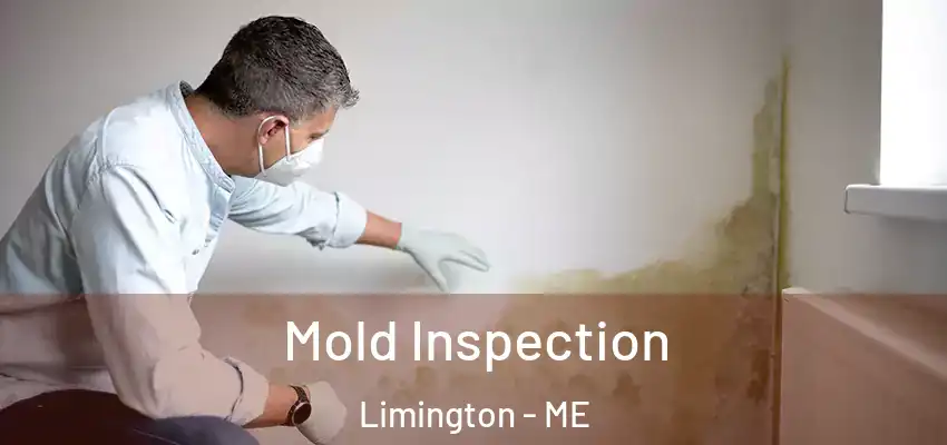  Mold Inspection Limington - ME