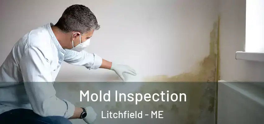  Mold Inspection Litchfield - ME