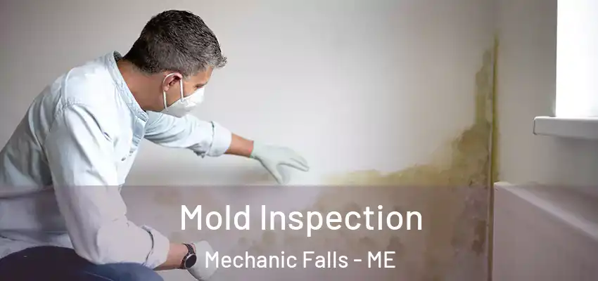  Mold Inspection Mechanic Falls - ME