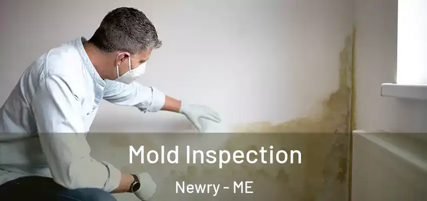  Mold Inspection Newry - ME