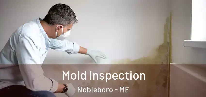  Mold Inspection Nobleboro - ME