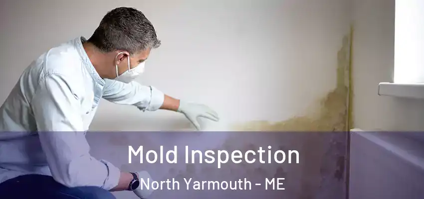  Mold Inspection North Yarmouth - ME