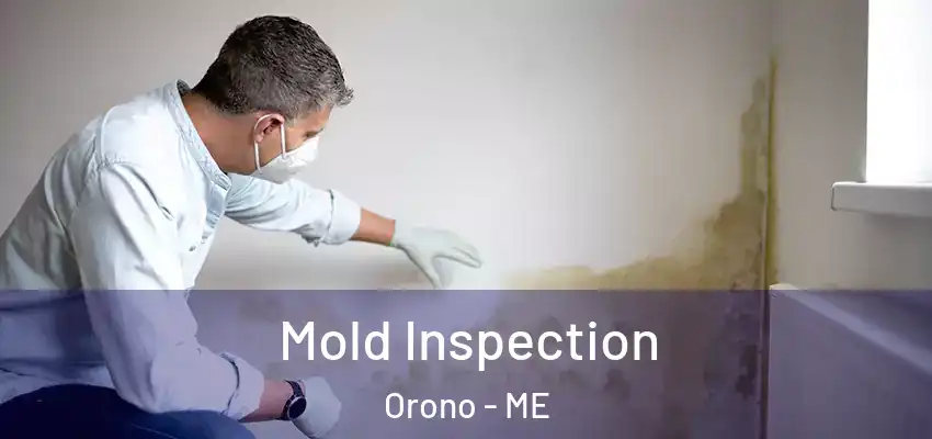  Mold Inspection Orono - ME