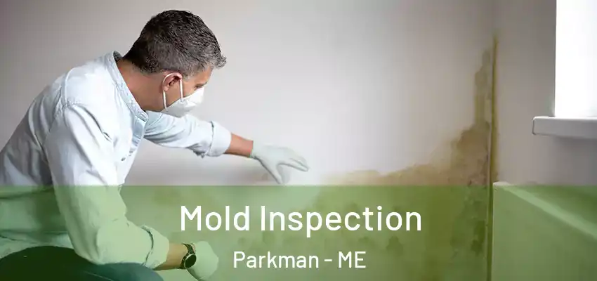  Mold Inspection Parkman - ME