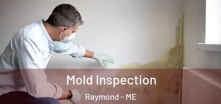  Mold Inspection Raymond - ME