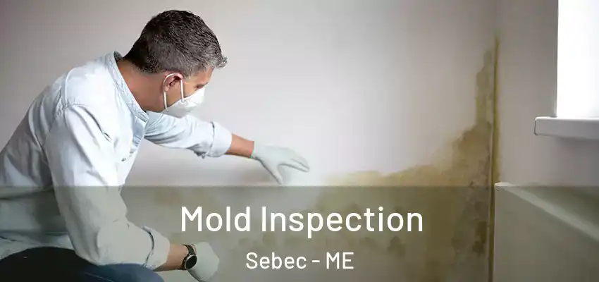  Mold Inspection Sebec - ME