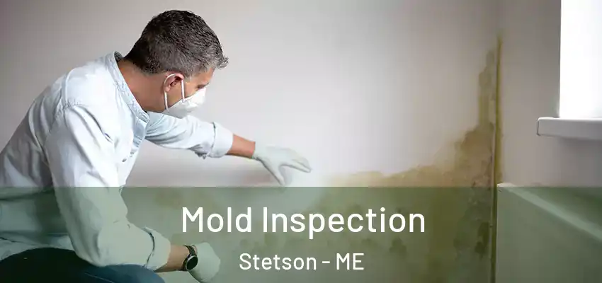  Mold Inspection Stetson - ME