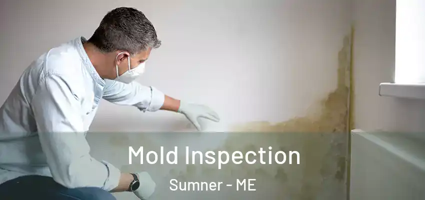 Mold Inspection Sumner - ME