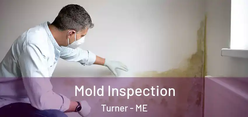  Mold Inspection Turner - ME