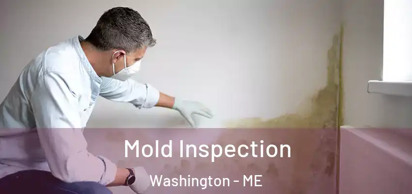  Mold Inspection Washington - ME