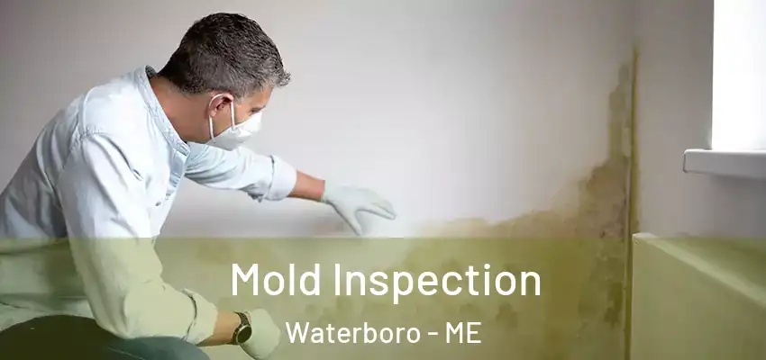  Mold Inspection Waterboro - ME