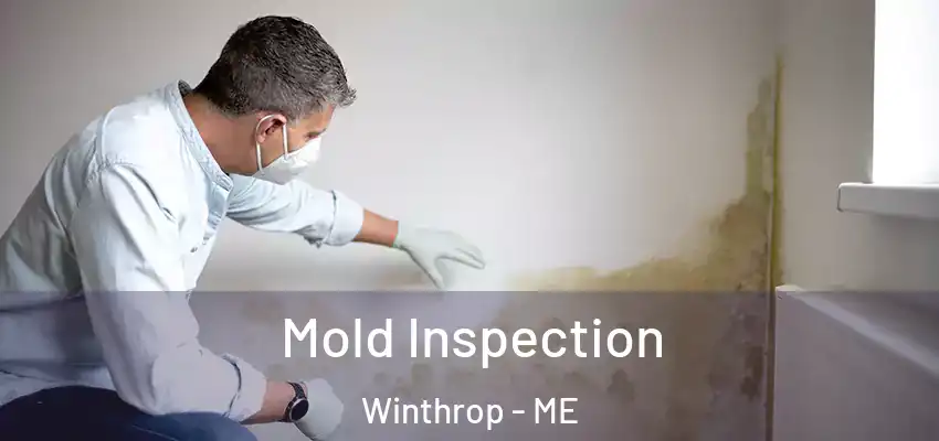  Mold Inspection Winthrop - ME